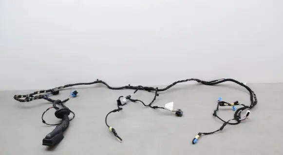 Front door wiring loom
