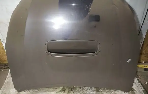 Engine bonnet/hood