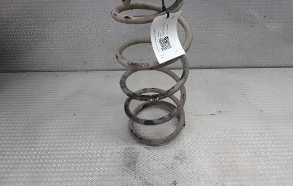 Peugeot 806 Front coil spring