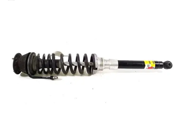 Mercedes-Benz CL C215 Rear shock absorber with coil spring 