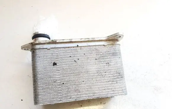 Tesla Model Y Air conditioning (A/C) air dryer 152300300b 1523003-00-b