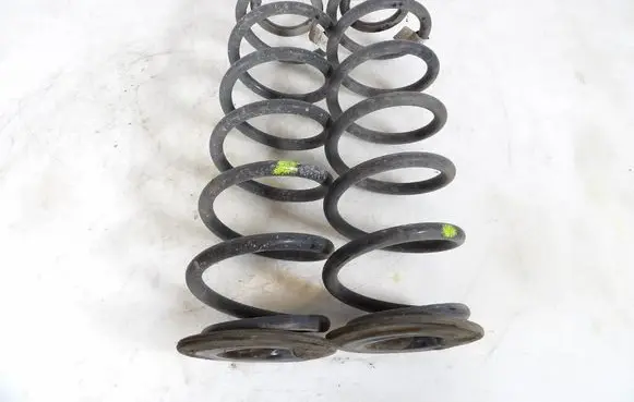 Rear coil spring