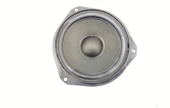 Front door speaker