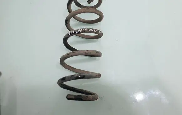 Rear coil spring