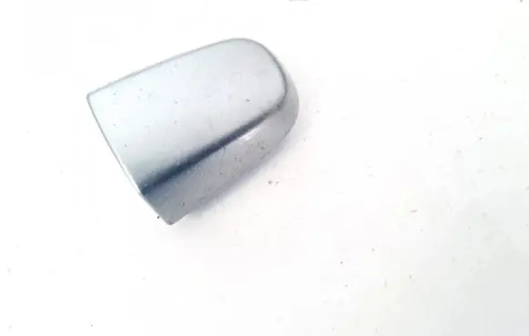 Toyota RAV 4 (XA30) Loading door cover/cap 