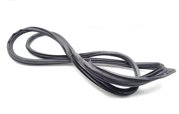 BMW 1 F20 F21 Front door rubber seal 