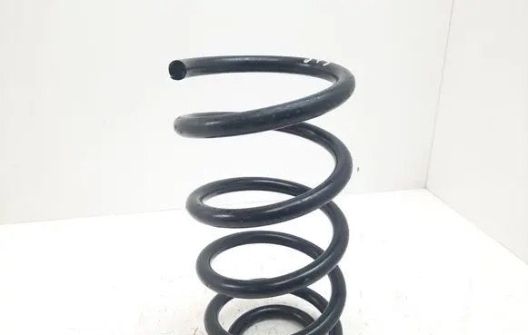 Hyundai Santa Fe Rear coil spring