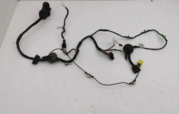 Front door wiring loom