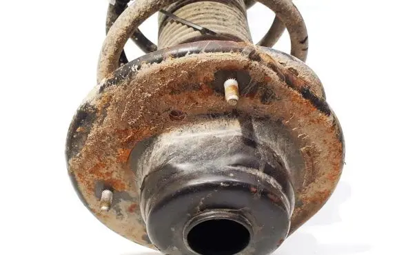 Coil spring mount