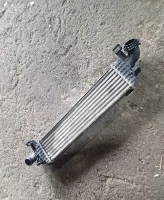 Intercooler radiator