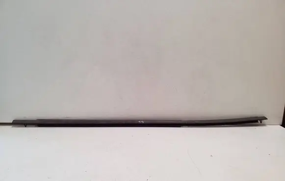 Toyota Corolla E210 E21 Rear door glass trim molding
