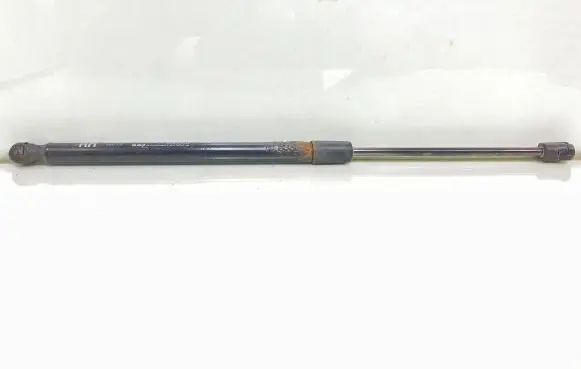 Tailgate/trunk strut/damper