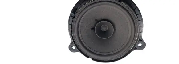 Nissan Qashqai Rear door speaker 