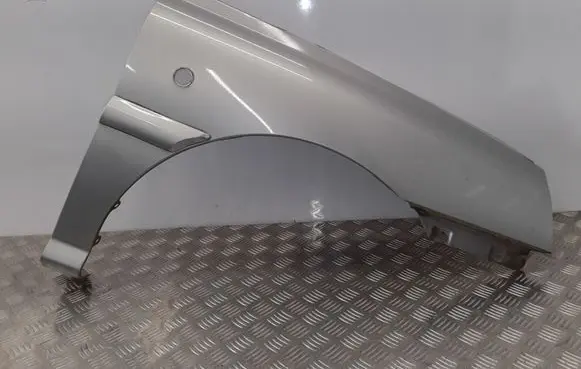 KIA Rio Fender