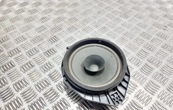 Opel Adam Front door speaker 13489122 434107867591