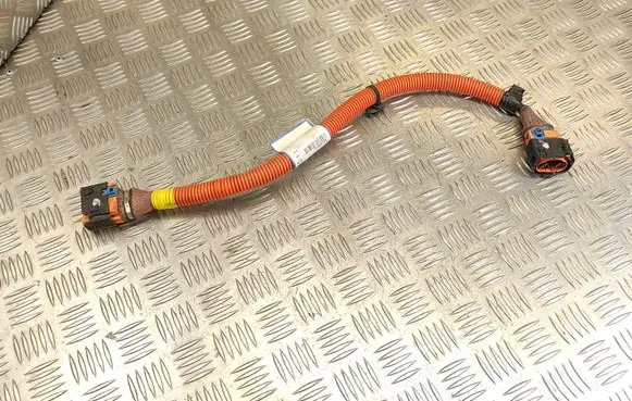 Renault Zoe Other wiring loom 240419193R