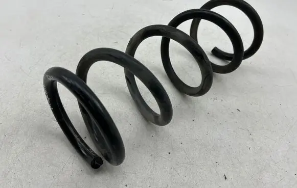 Rear coil spring