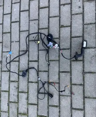 Audi Q5 SQ5 Front door wiring loom 80A971029E