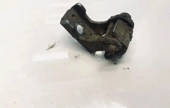 Peugeot 206 Rear door lower hinge