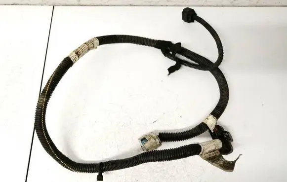Other wiring loom