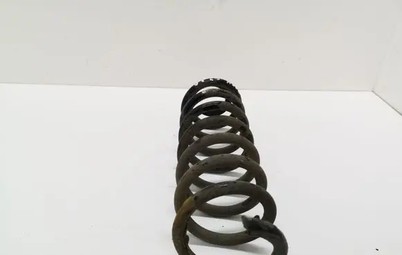 Rear coil spring