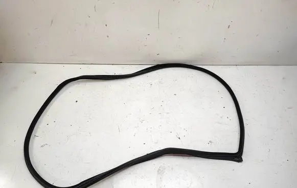 BMW 3 E92 E93 Front door rubber seal 7119092