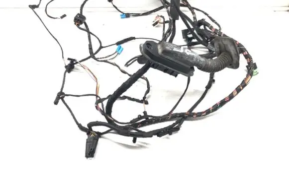 BMW 7 F01 F02 F03 F04 Front door wiring loom 