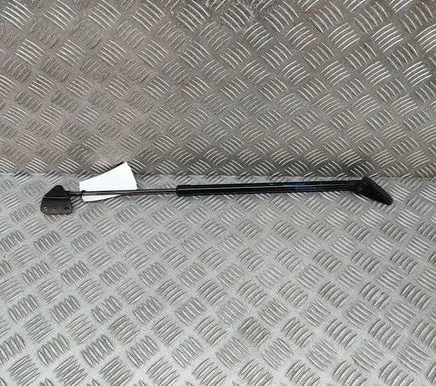 Nissan Juke II F16 Tailgate/trunk strut/damper 904516PA0A