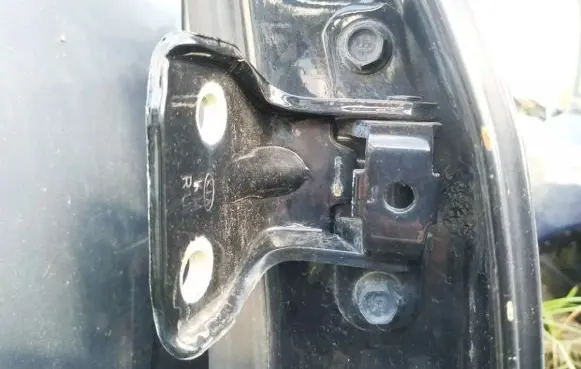 KIA Sportage Rear door lower hinge
