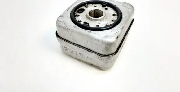 Audi A4 S4 B6 8E 8H Engine oil radiator 028117021