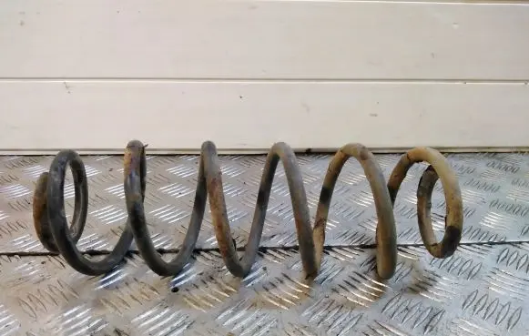 Volkswagen New Beetle Rear coil spring