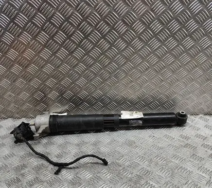 Porsche Cayenne (9Y0 9Y3) Rear shock absorber/damper 9Y0513031C