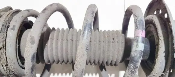 Front coil spring