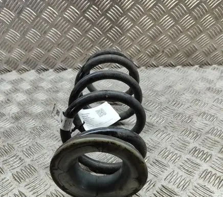Tesla Model Y Rear coil spring 118847200B