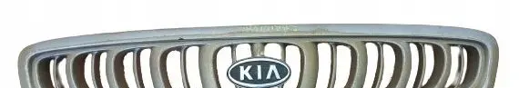 KIA Carnival Front grill