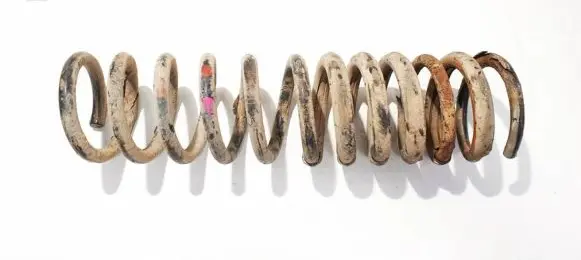 Ford Focus Rear coil spring
