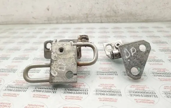 Volkswagen Golf Plus Front door hinge set 1K0831412H