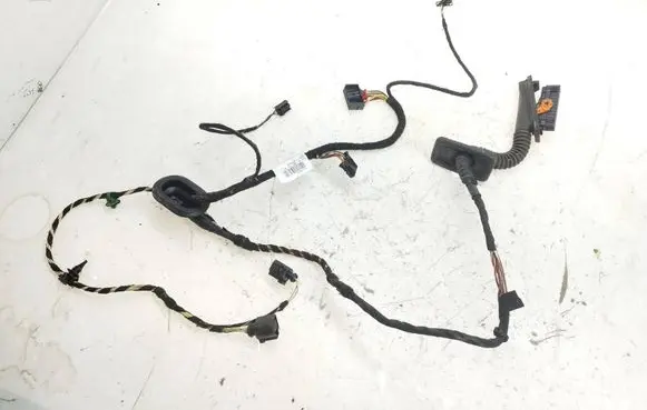 Volkswagen PASSAT CC Rear door wiring loom 3C8971693CH R0MAN1A TMB016615L