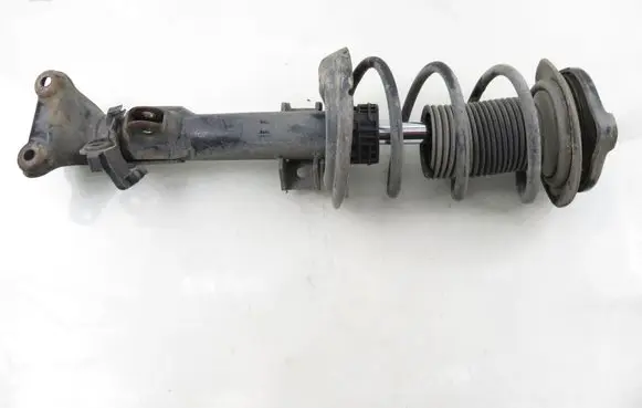 Mercedes-Benz C AMG W204 Front shock absorber with coil spring 313200