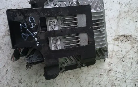 Citroen C4 I Picasso Engine control unit/module 9666095880