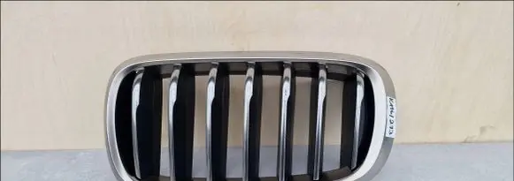 BMW X5 F15 Front grill 51137349387