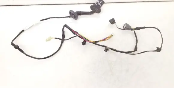 Rear door wiring loom