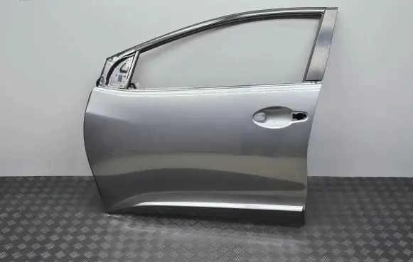 Honda Civic IX Front door NH737M
