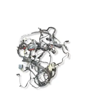 Ford Escape IV Wiring harness PZ1T14290KNEAC