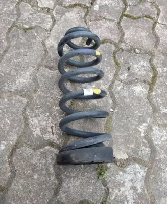 Rear coil spring
