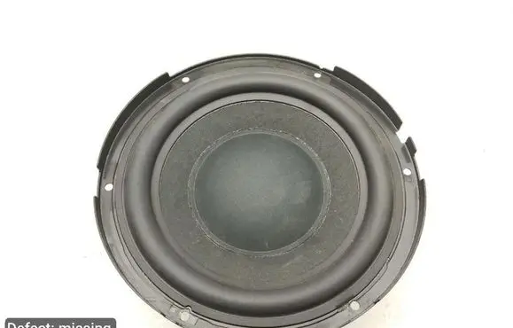 Porsche Panamera (971) Subwoofer speaker 6251610010