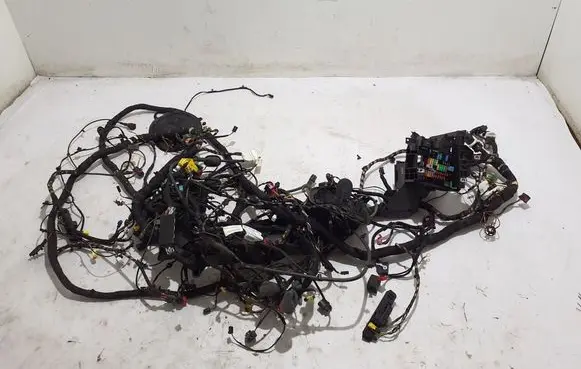 Other wiring loom