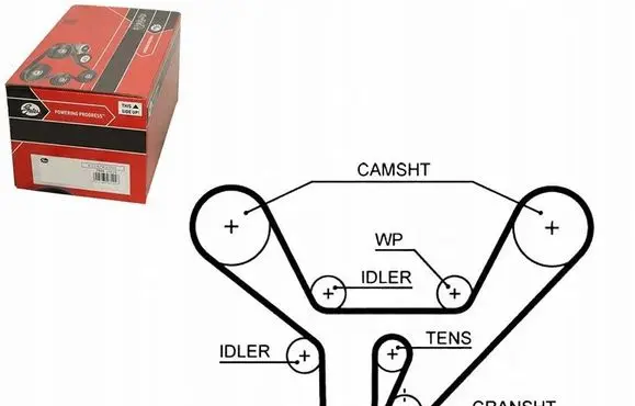 Audi A8 S8 D3 4E Timing belt 077109119B