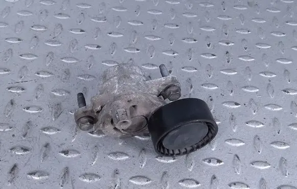 Citroen Berlingo Alternator belt tensioner 1631627680