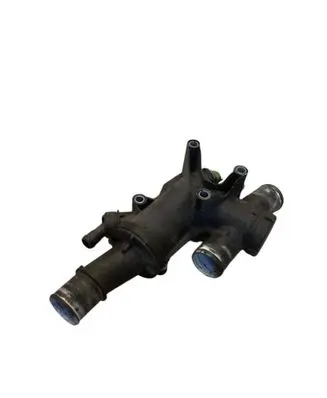 Thermostat/thermostat housing